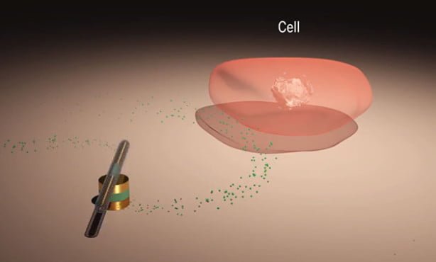 cell-sized-motors-2014-05-21-02[1]