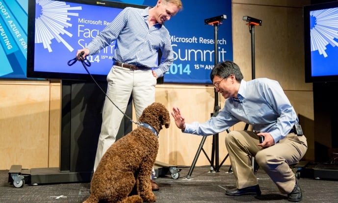 msft-dog-recognition-210