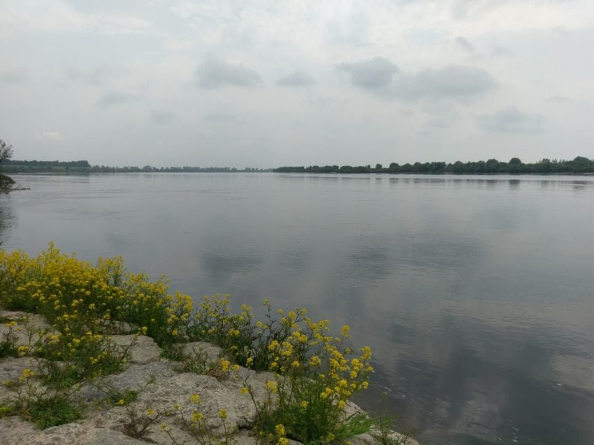 IMAG0074