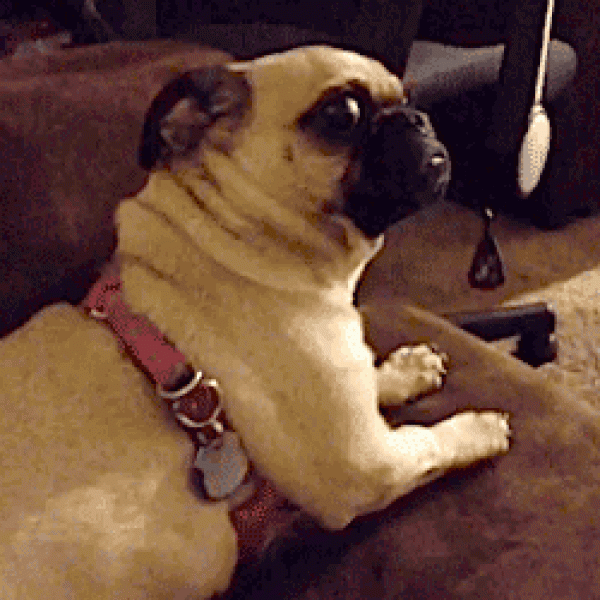 gify-w-hangouts