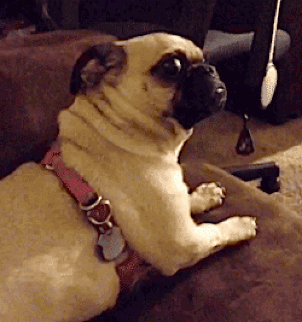 gify-w-hangouts
