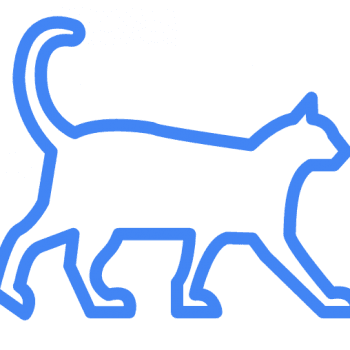 Kot - Google AutoDraw