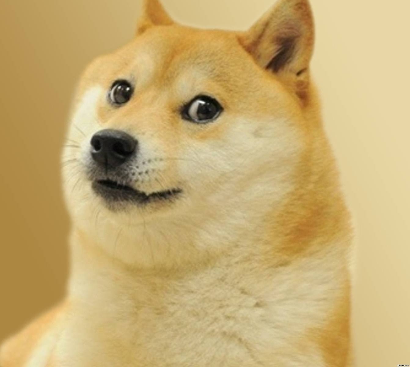 Stworzył ją dla żartu. Teraz kryptowaluta jego autorstwa ma wartość ponad 1  miliarda dolarów