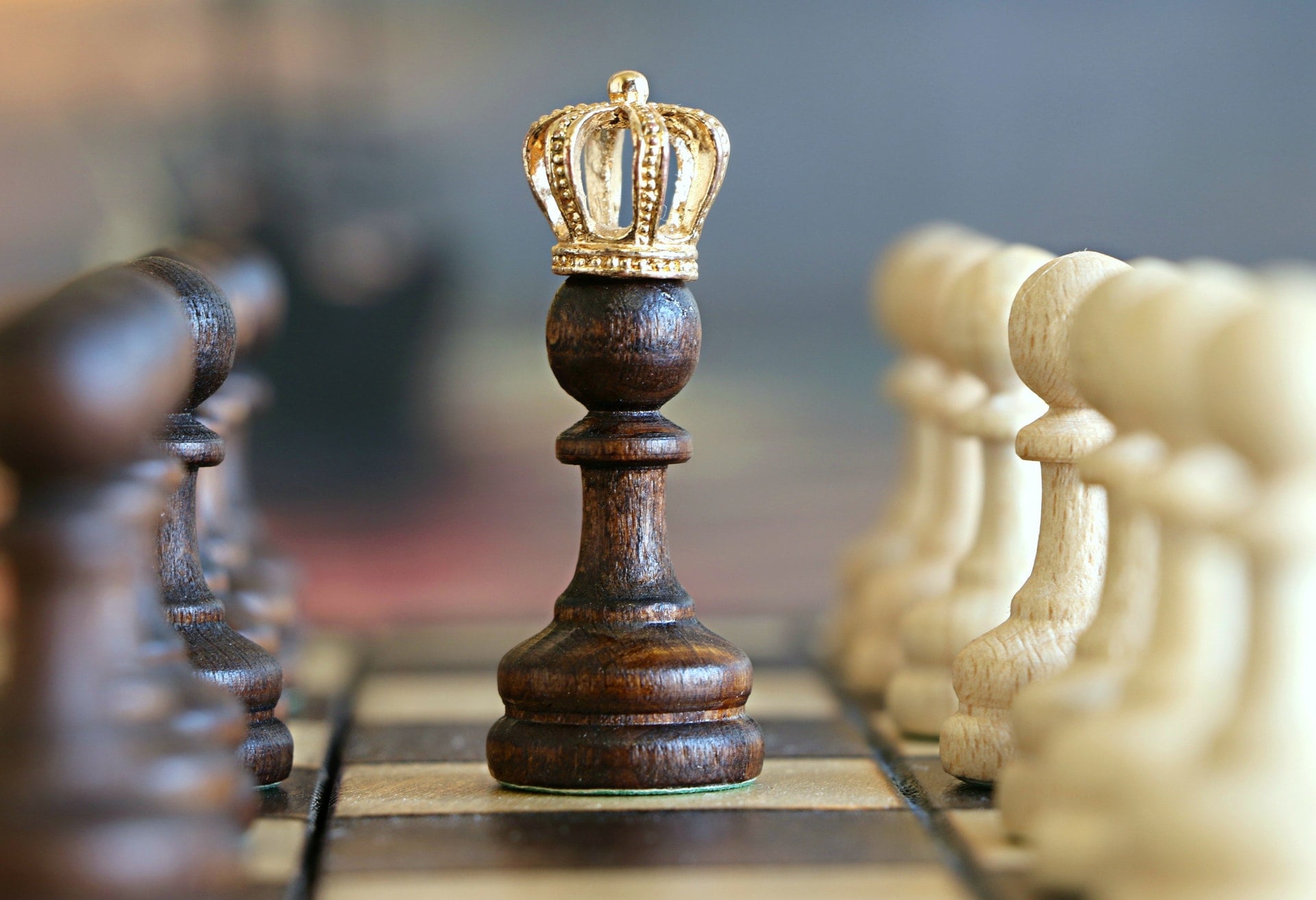 szachy król king