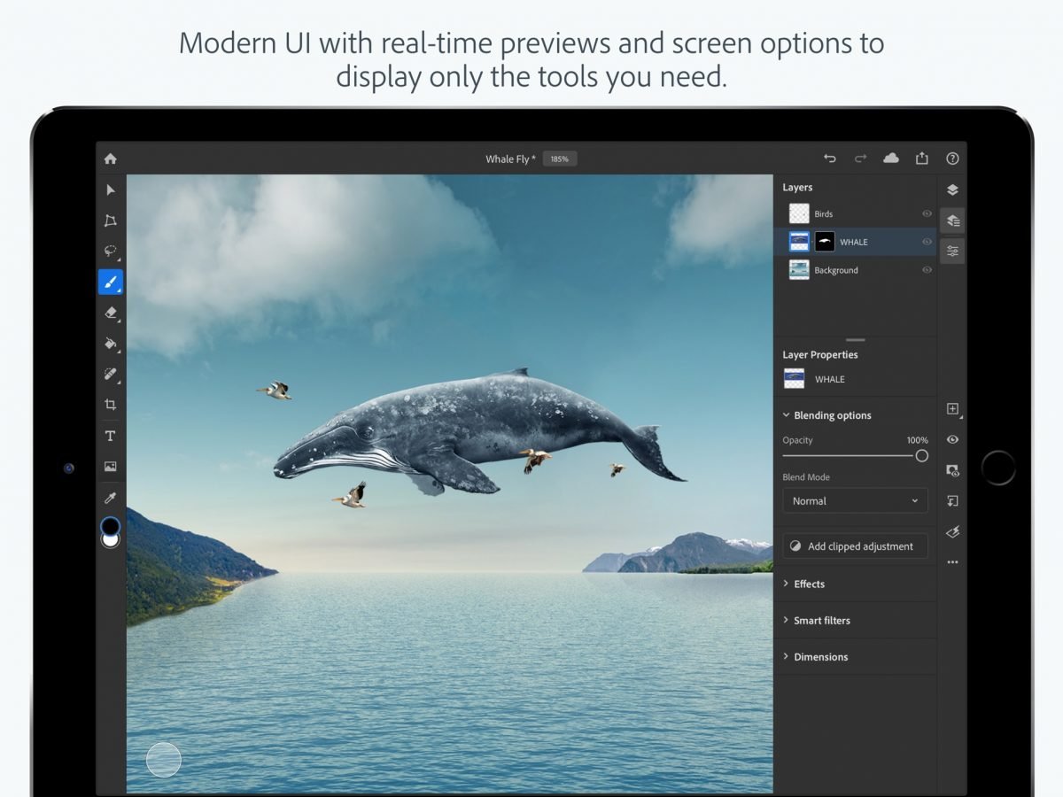 Adobe Photoshop iPad