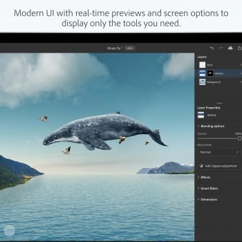 Adobe Photoshop iPad