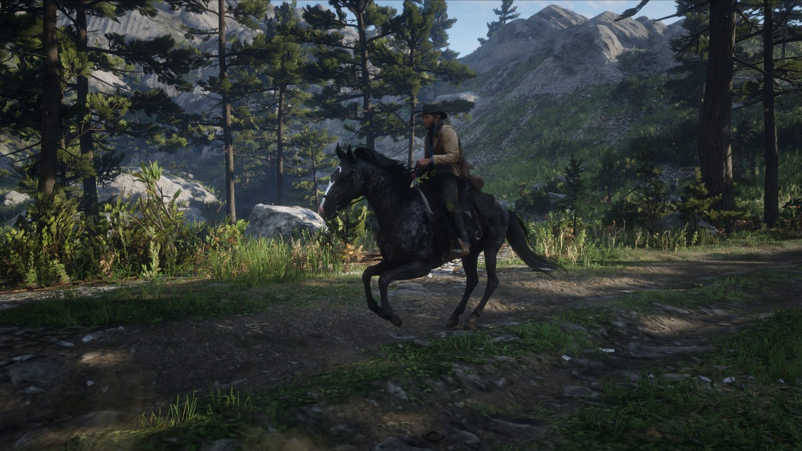 Red Dead Redemption 2 PC