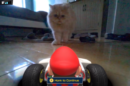 Mario Kart Live: Home Circuit