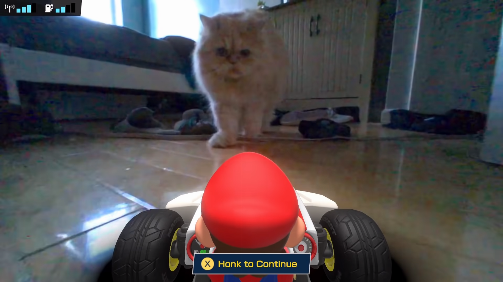 Mario Kart Live: circuito doméstico odiado pelos gatos