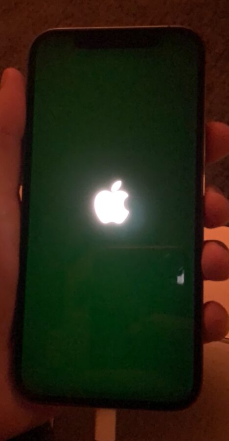 iPhone 12 zielony ekran.