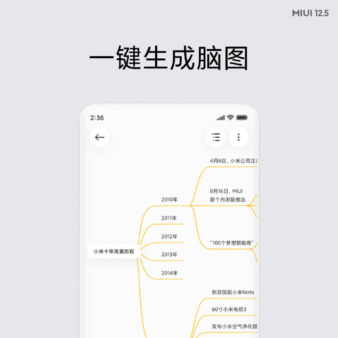 Xiaomi MIUI 12.5