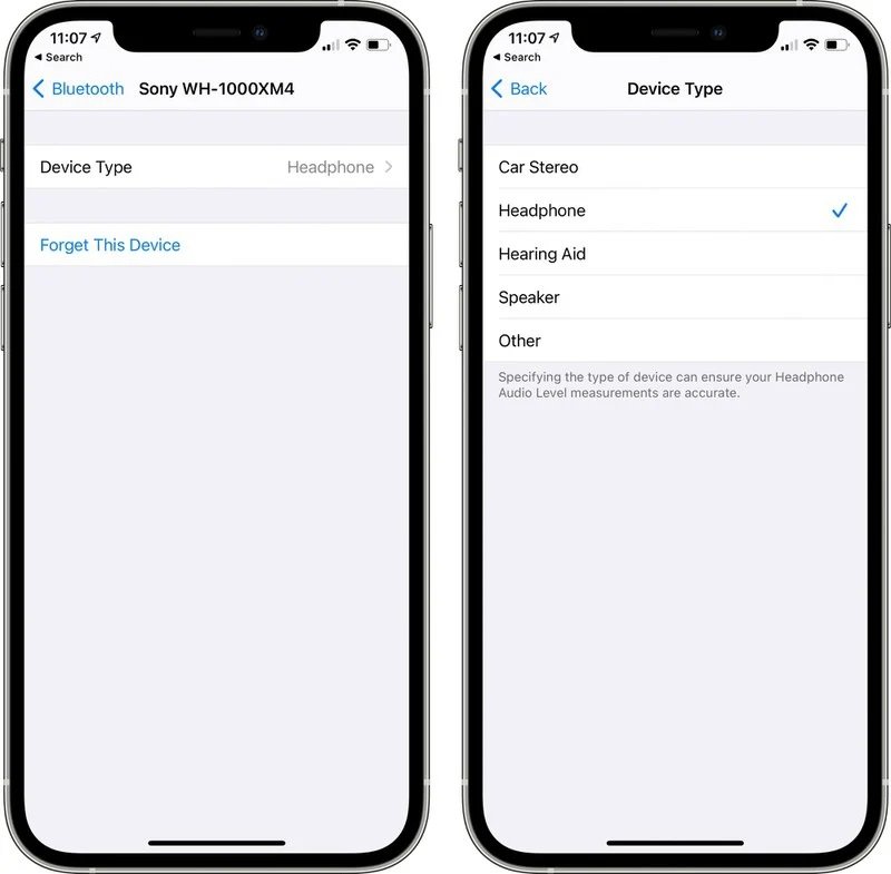 iOS 14.4 Bluetooth Device type