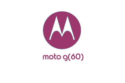 Moto g60 (źródło: XDA)