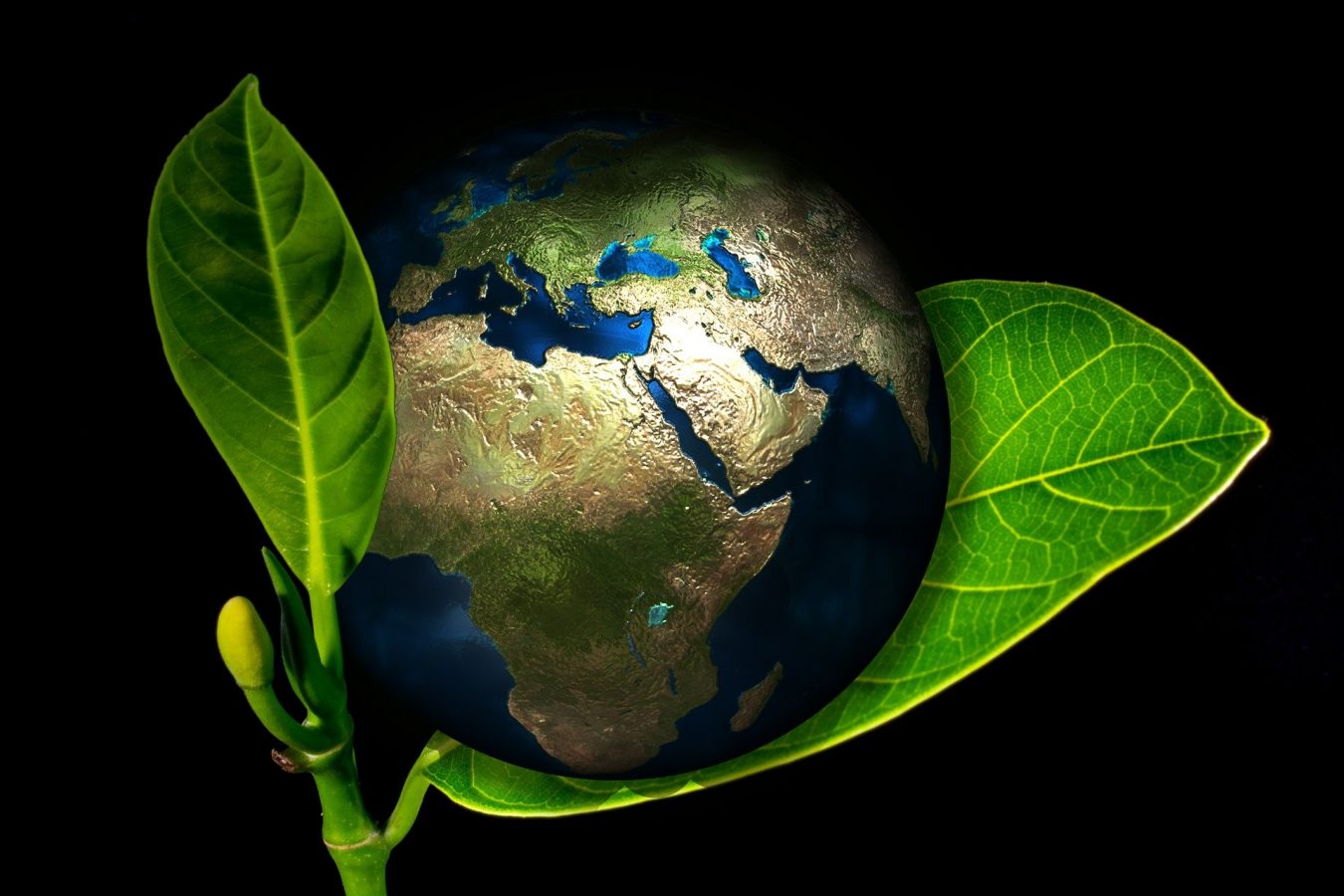 Ziemia świat world Earth globus liść ekologia unia europejska ekologia