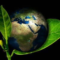 Ziemia świat world Earth globus liść ekologia