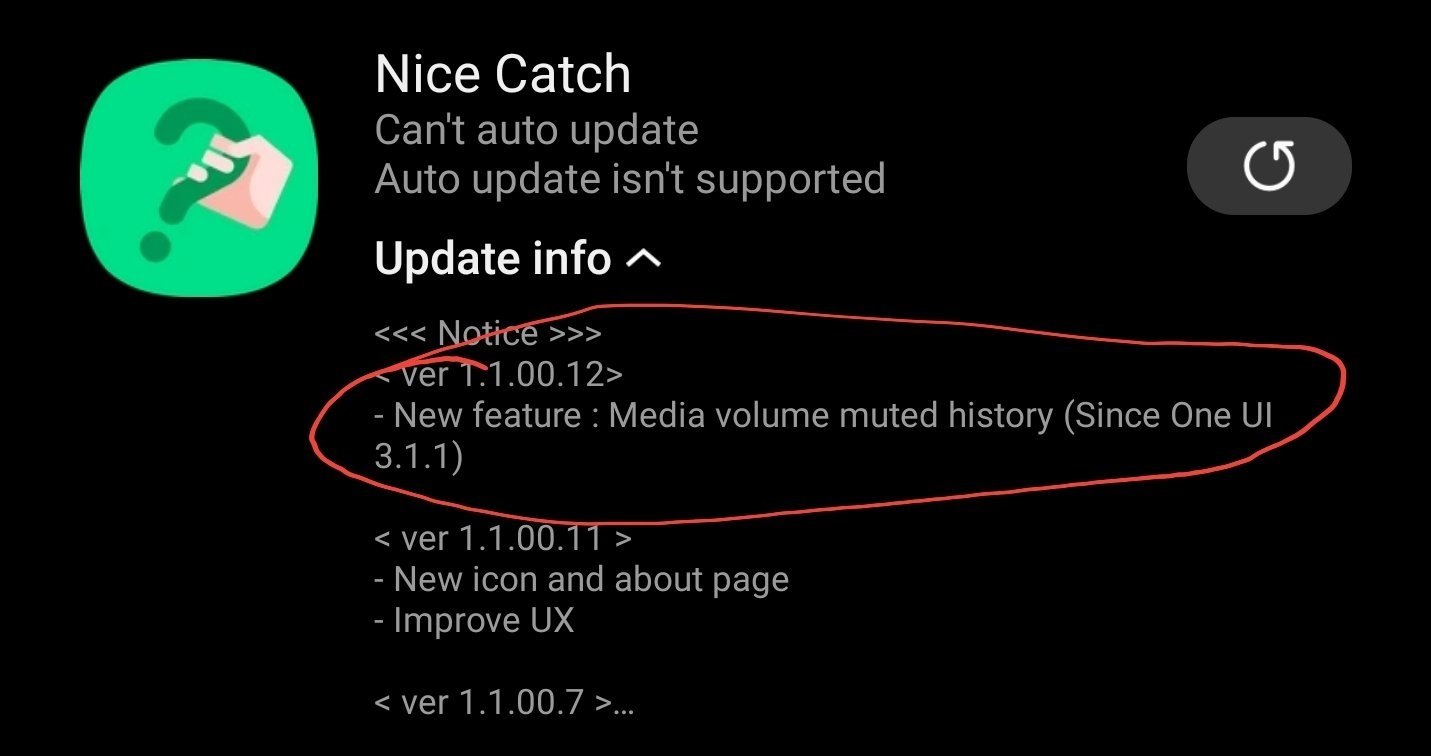 Nice Catch One UI 3.1.1, a nie One UI 3.5