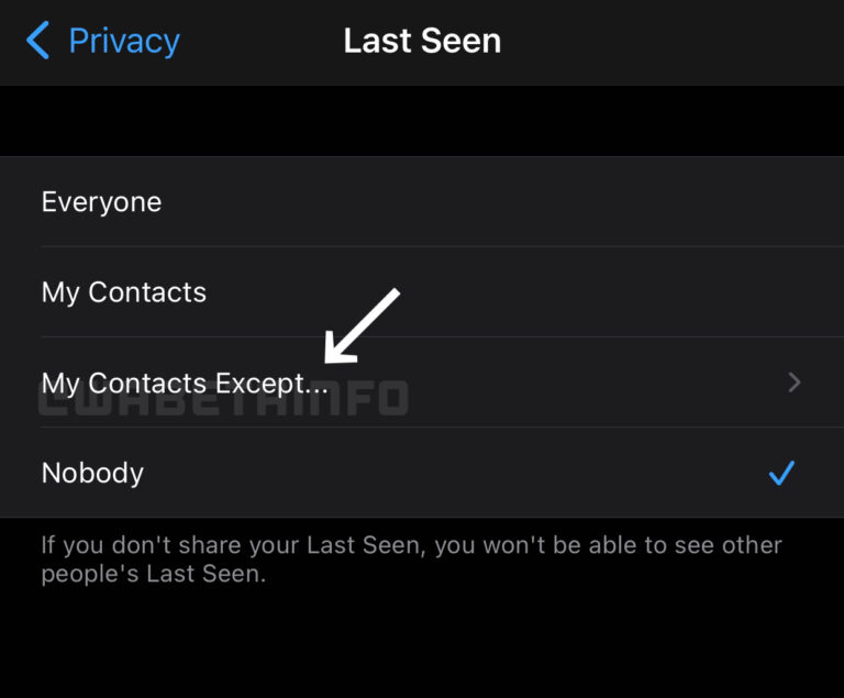 whatsapp last seen privacy setting ostatnia aktywność ustawienia prywatności