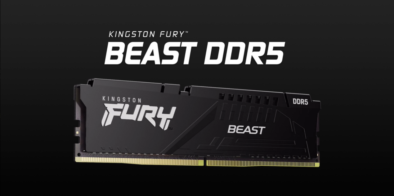 Kingston fury beast DDR5