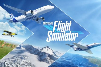 Microsoft Flight Simulator Xbox