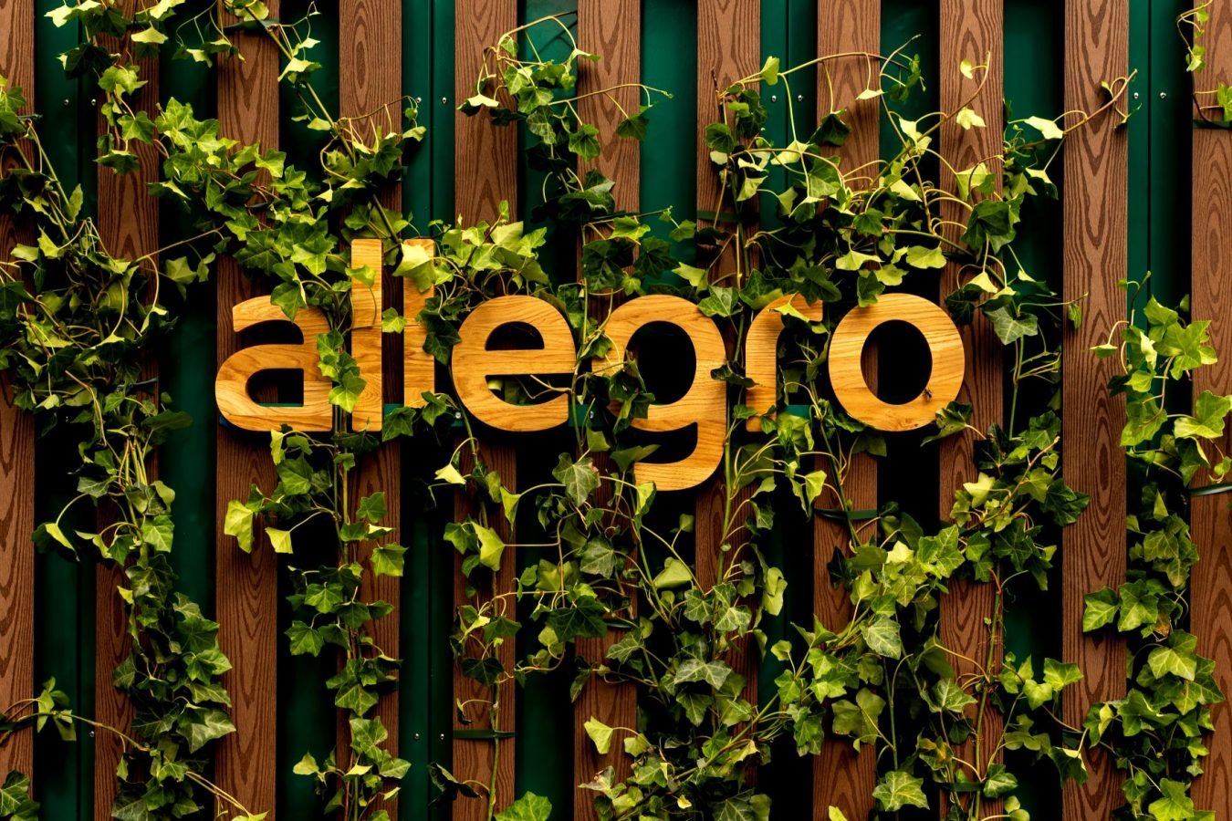 One Box by Allegro automat paczkowy Allegro logo