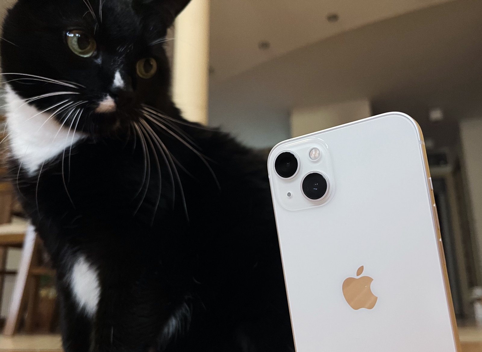 iPhone 13