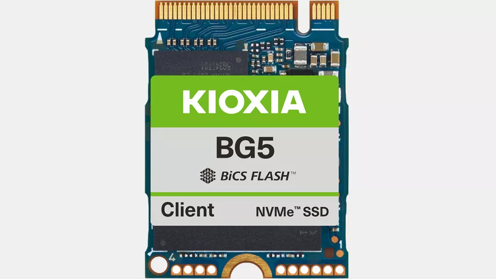 Kioxia BG5