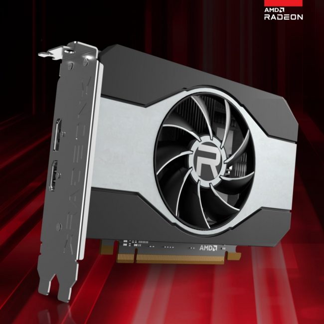 kart graficzna Radeon RX 6500 XT GPU