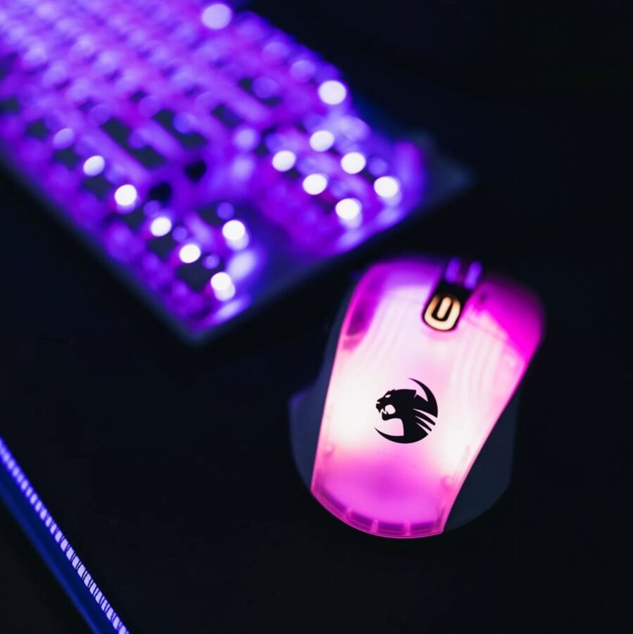 Grafika Roccat Kone XP 2