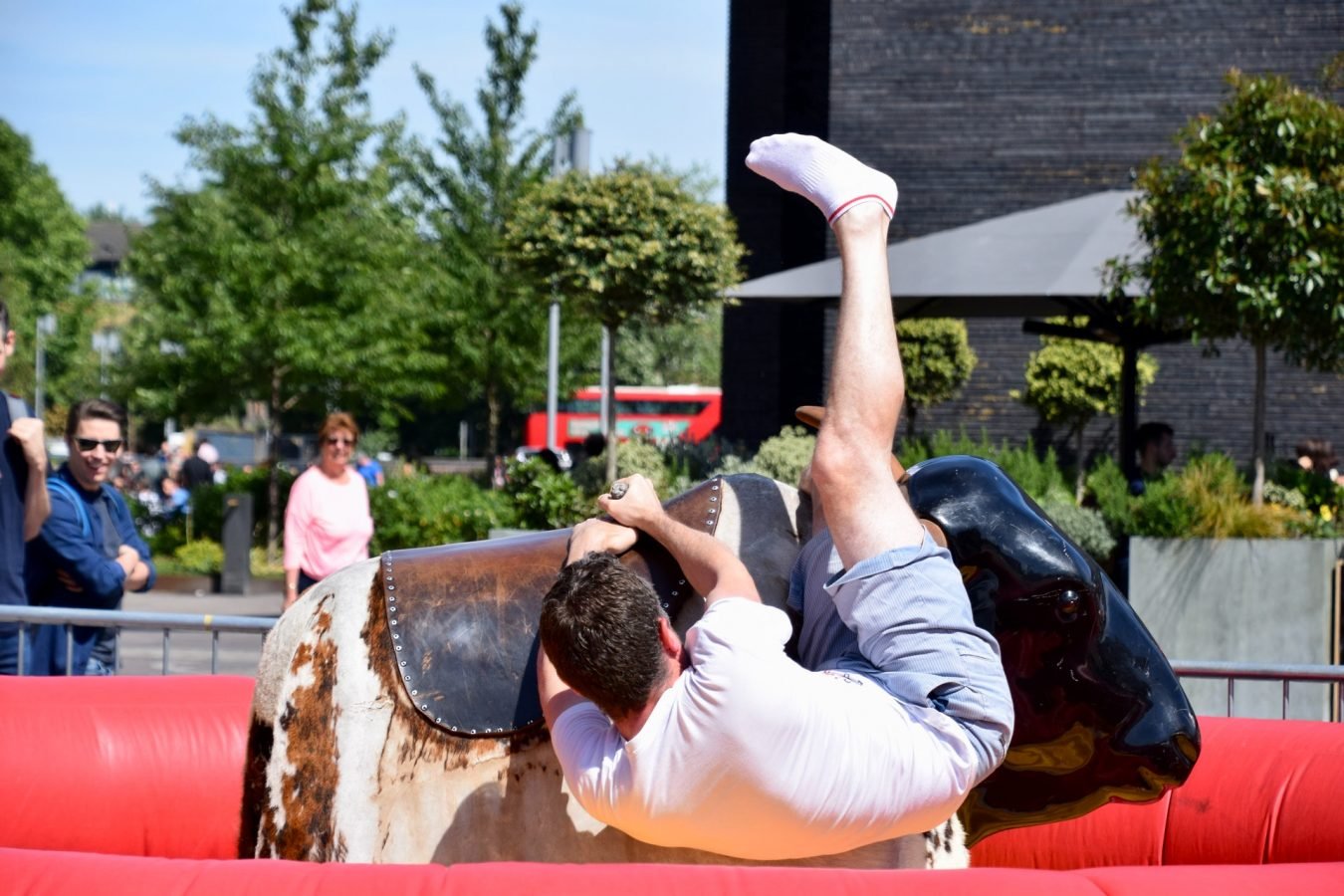 man mężczyczna spadanie falling byk bull rozrywka