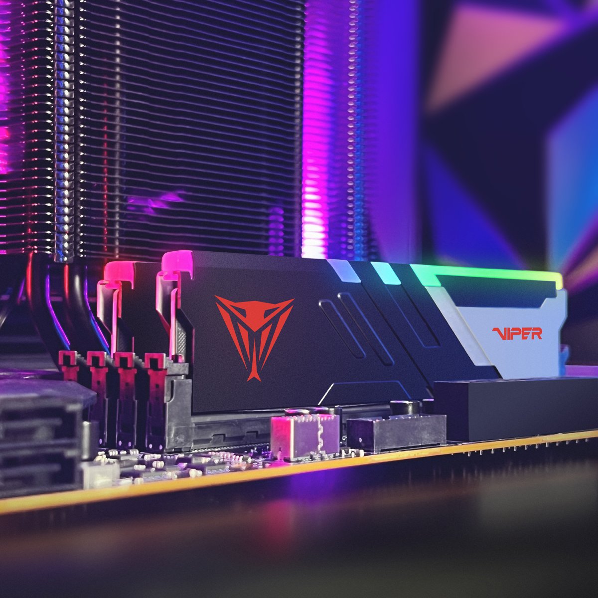 Viper Venom DDR5