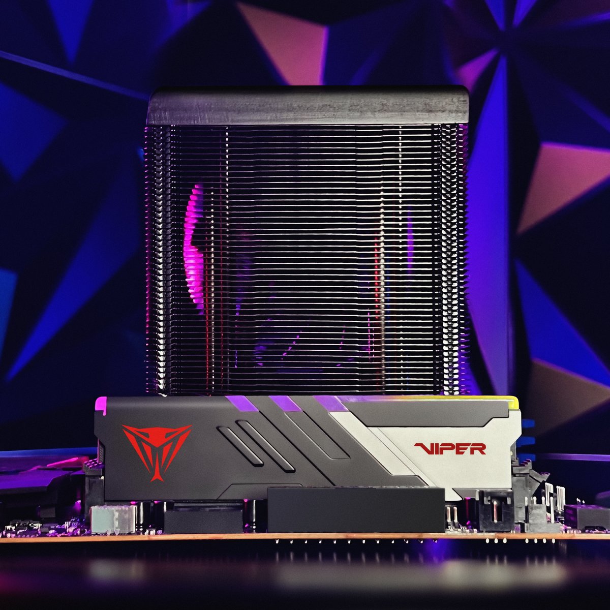 Patriot Viper Venom DDR5