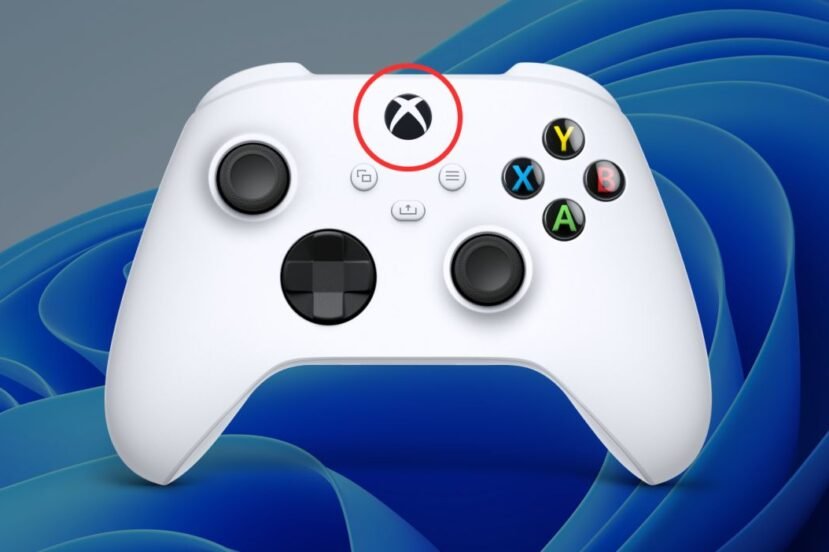 kontroler xbox grafika