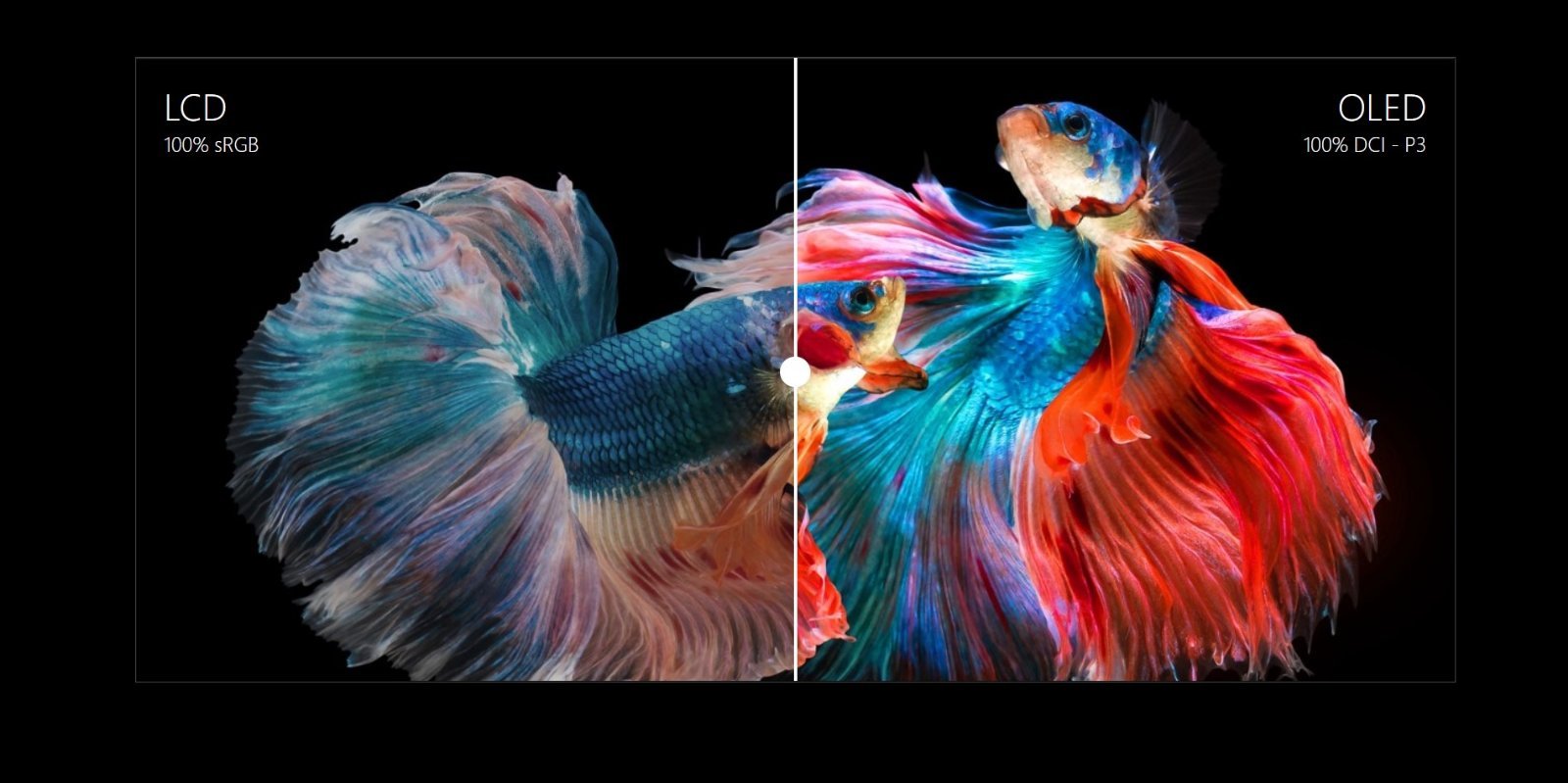 ASUS OLED