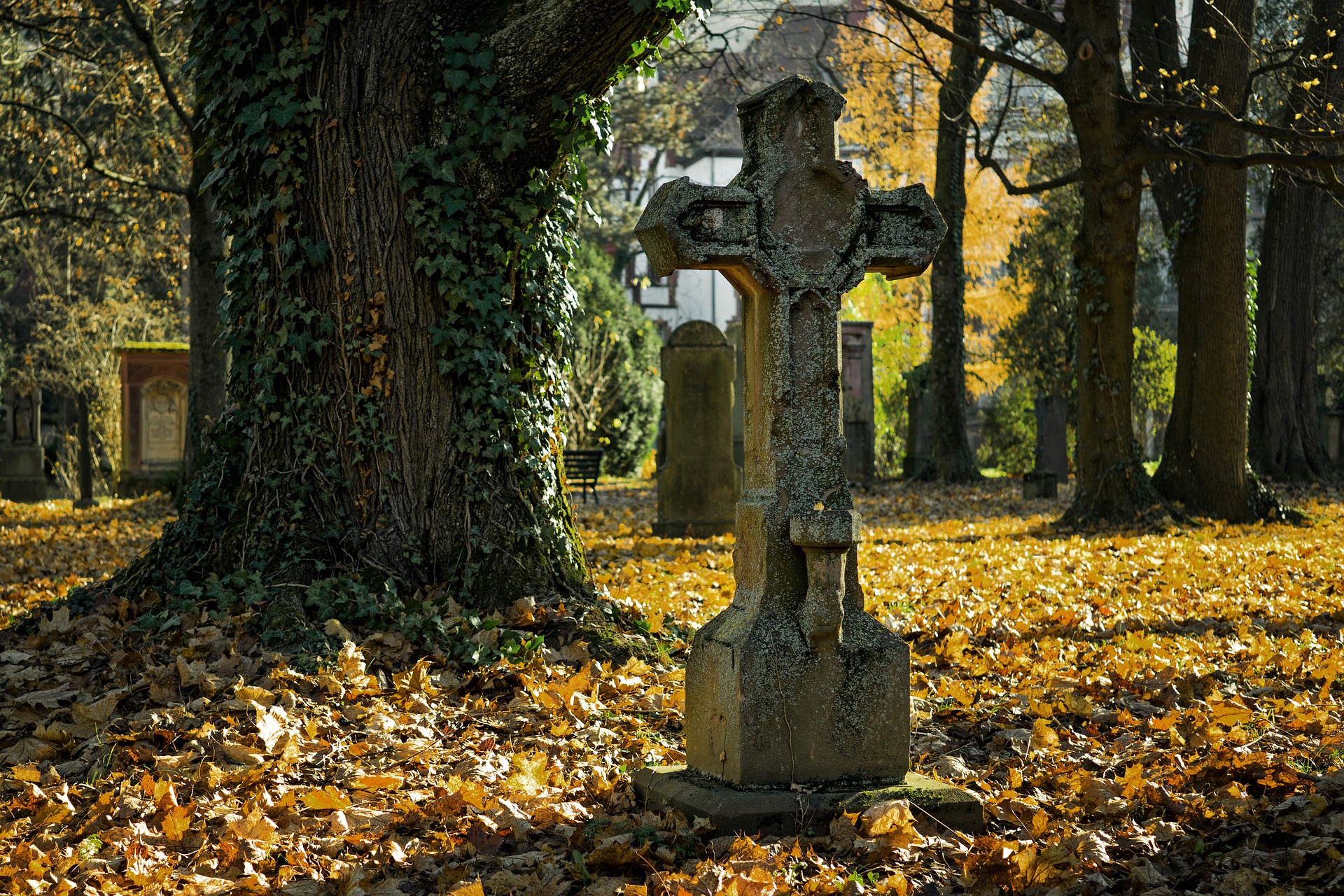 śmierć dead death cmentarz cemetery pomnik