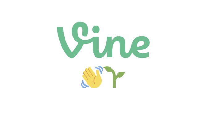 Vine