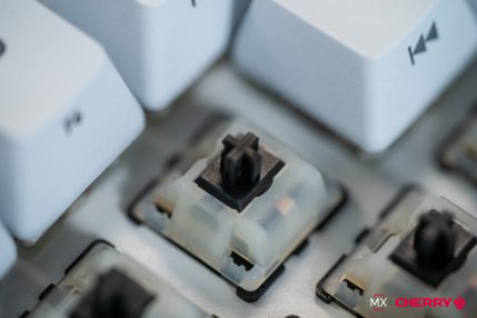 przełączniki Cherry MX Black Clear-Top mechanical switches