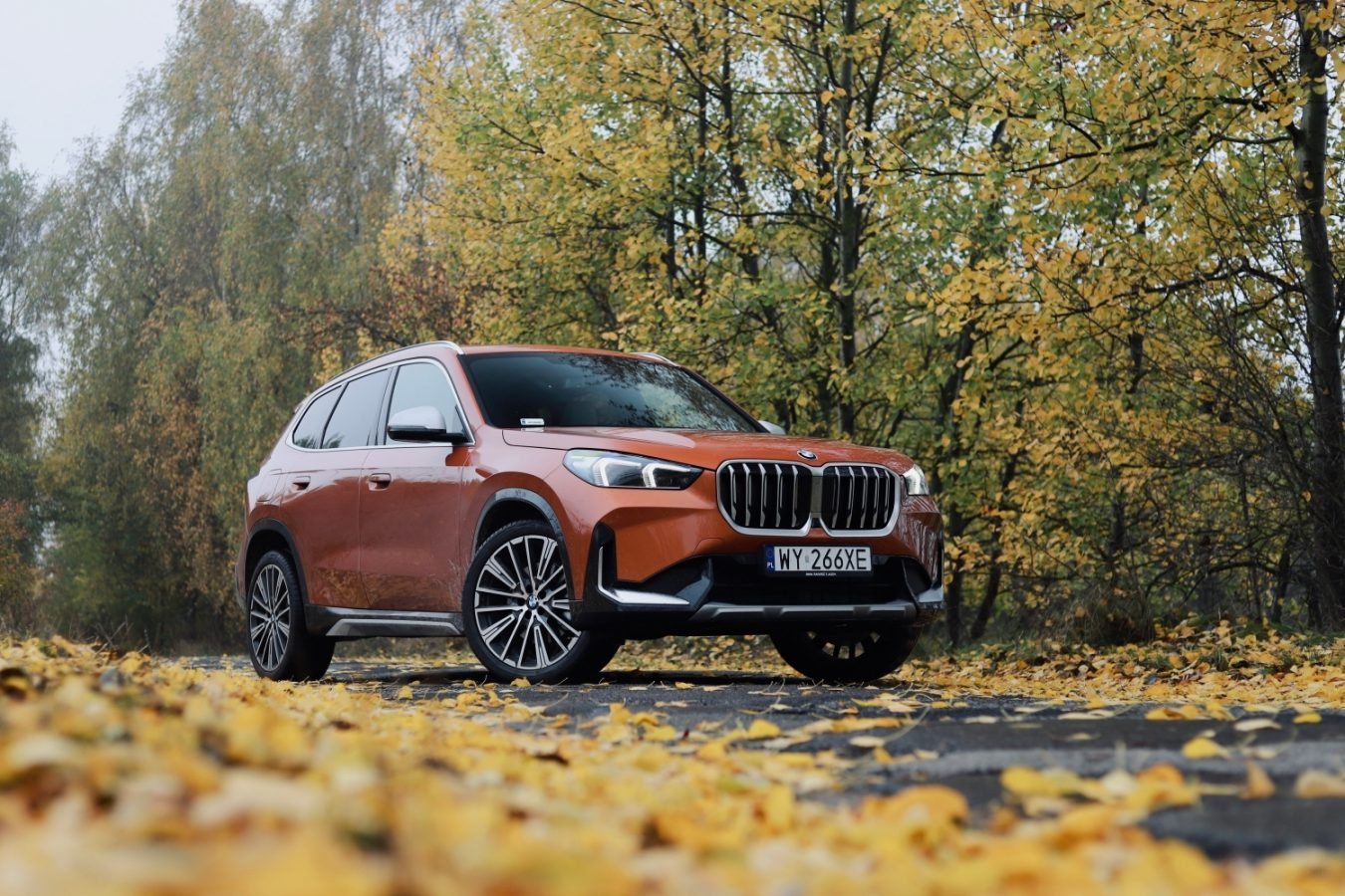 BMW X1 test