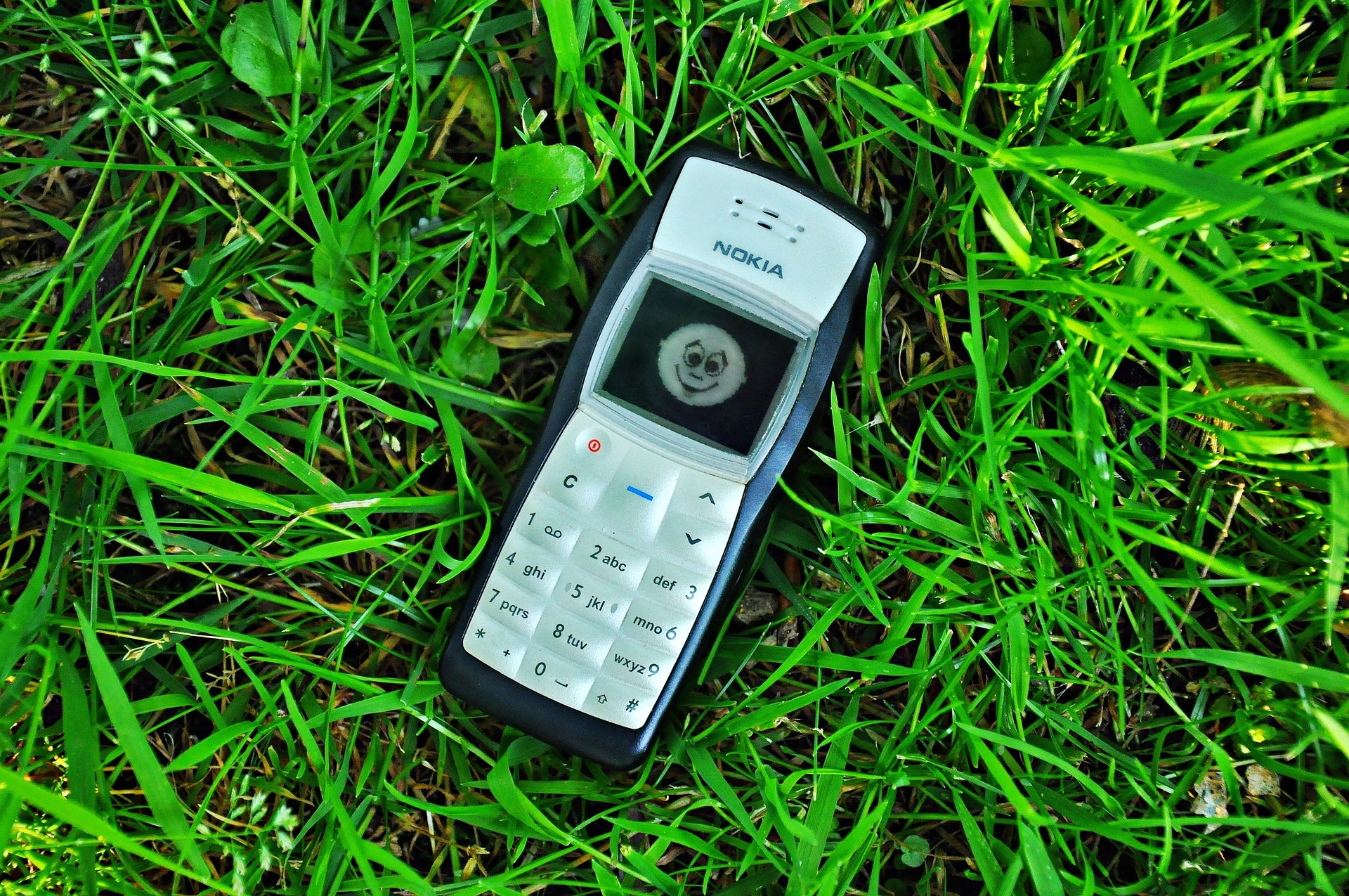 telefon komórkowy cellphone Nokia 1100