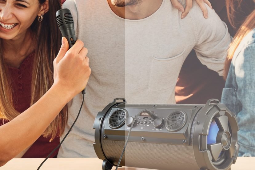 hykker głośnik karaoke Biedronka