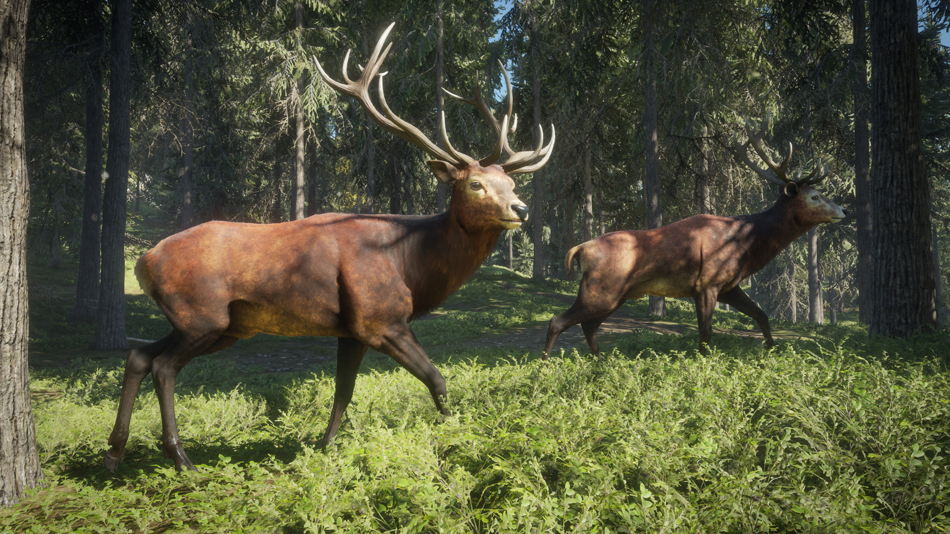 theHunter: Call of the Wild screen z gry