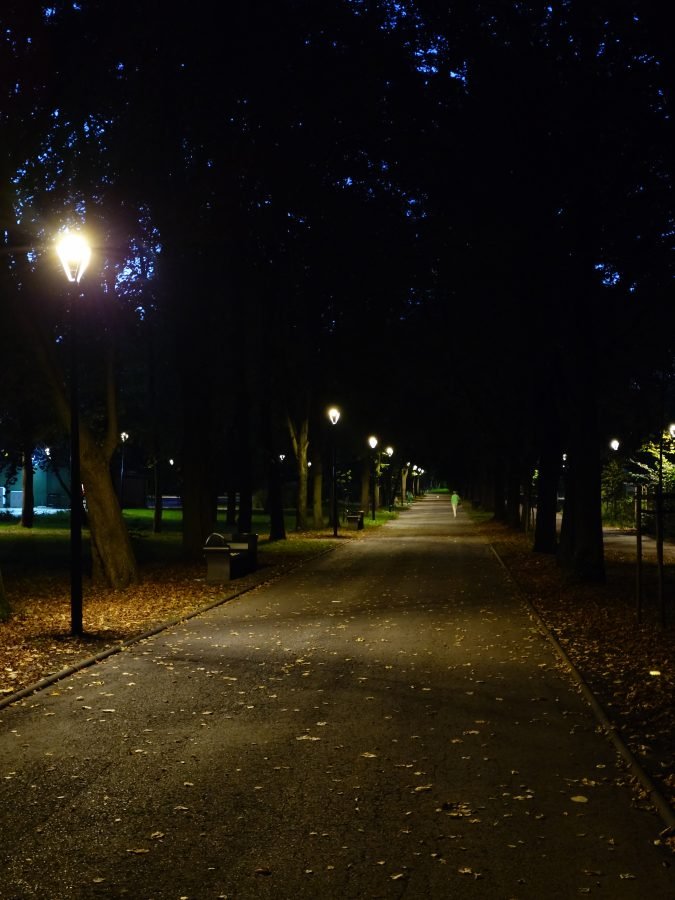 Recenzja Xperia 5 V - Photo Pro - Tryb nocny główny aparat