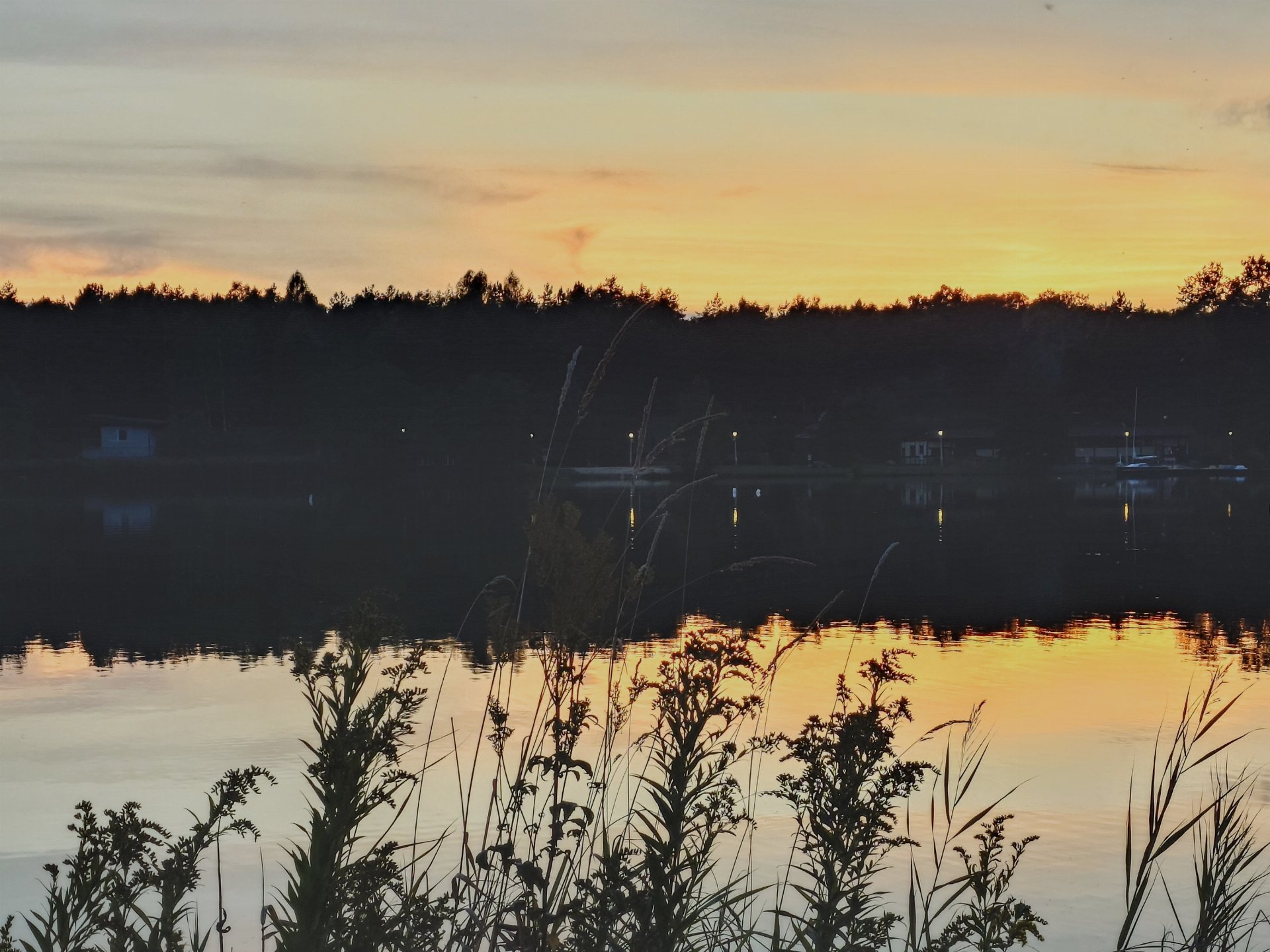Recenzja Xperia 5 V - Photo Pro - Zdjęcia w trybie Pro