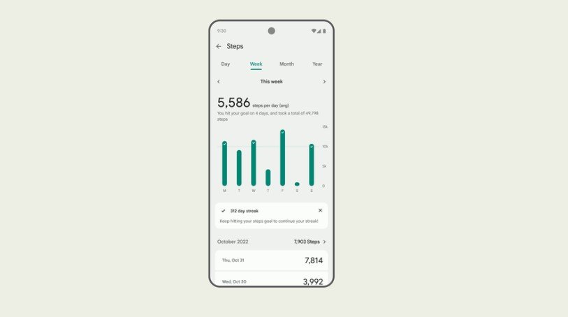 Aplikacja Fitbit