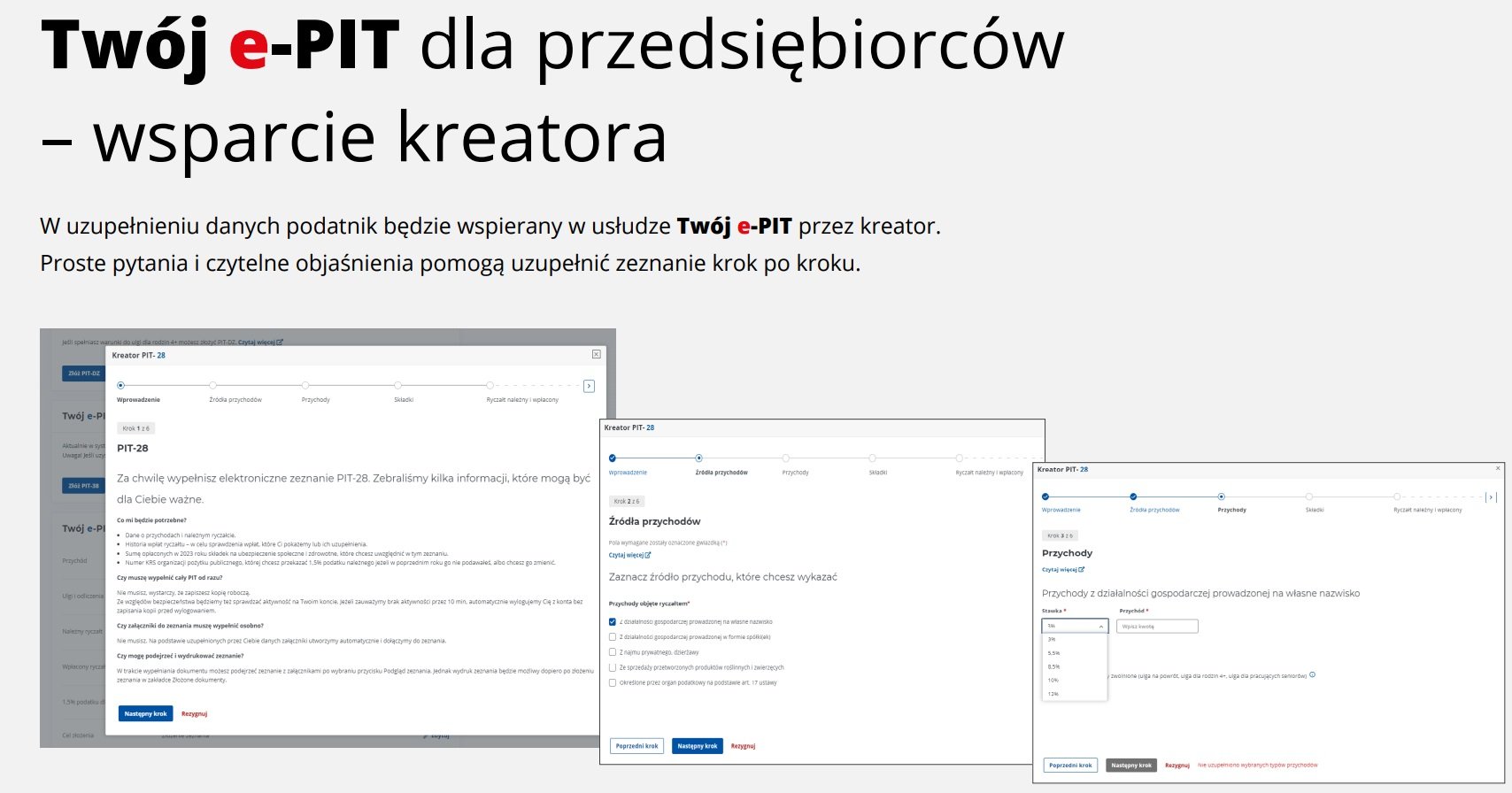 Twój e-PIT dla przedsiębiorców od 2024 roku kreator przykład
