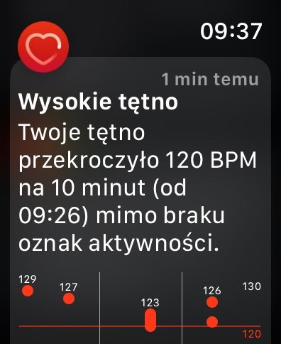 Rok z Apple Watch 8 Tabletowo