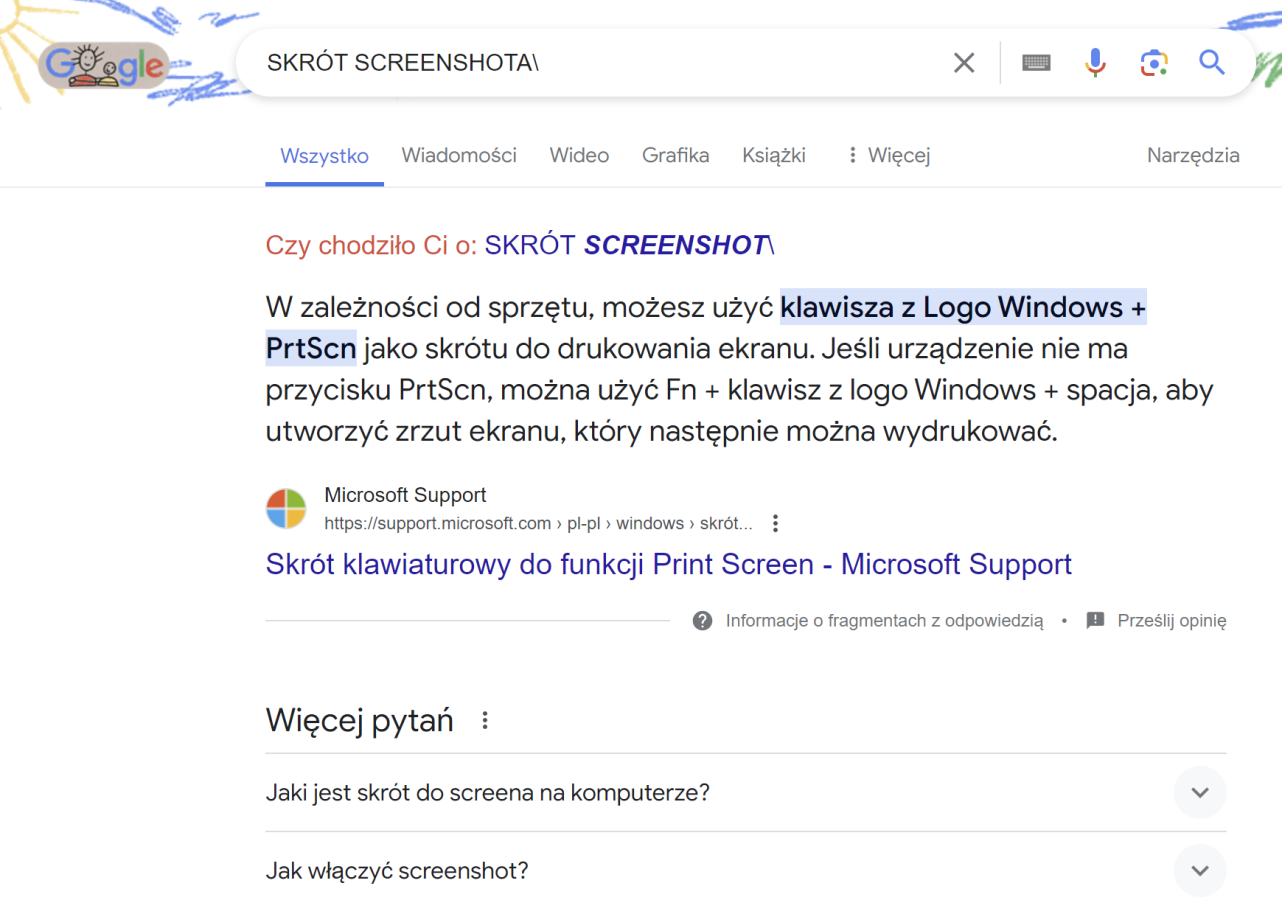 wyszukiwarka Google