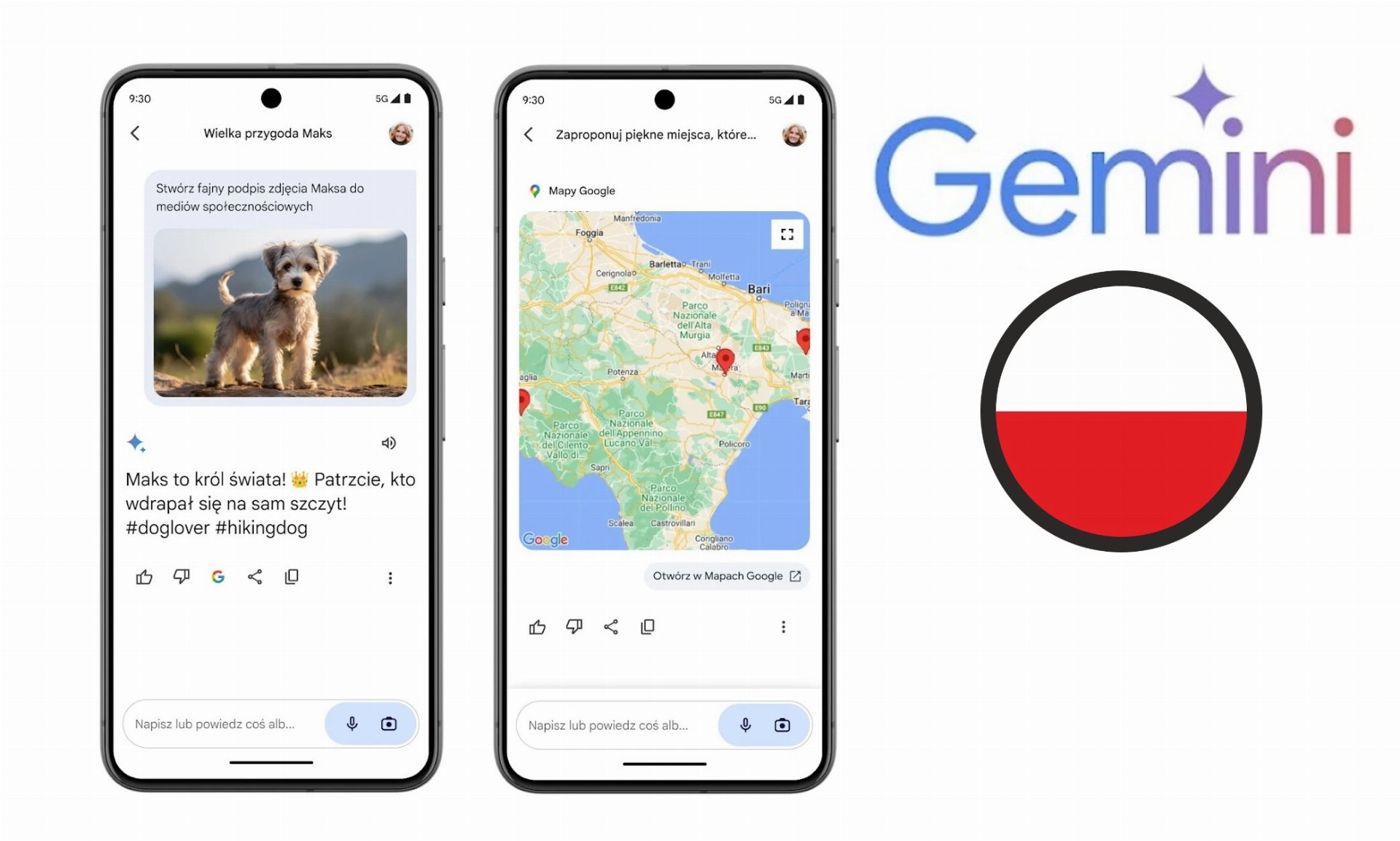 Google Gemini w Polsce