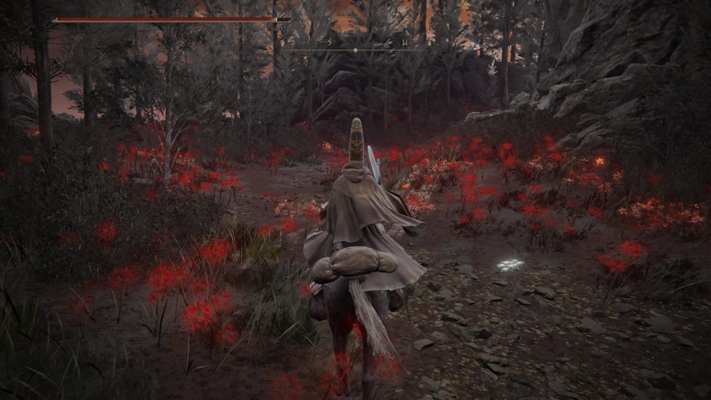Elden Ring: Shadow of the Erdtree