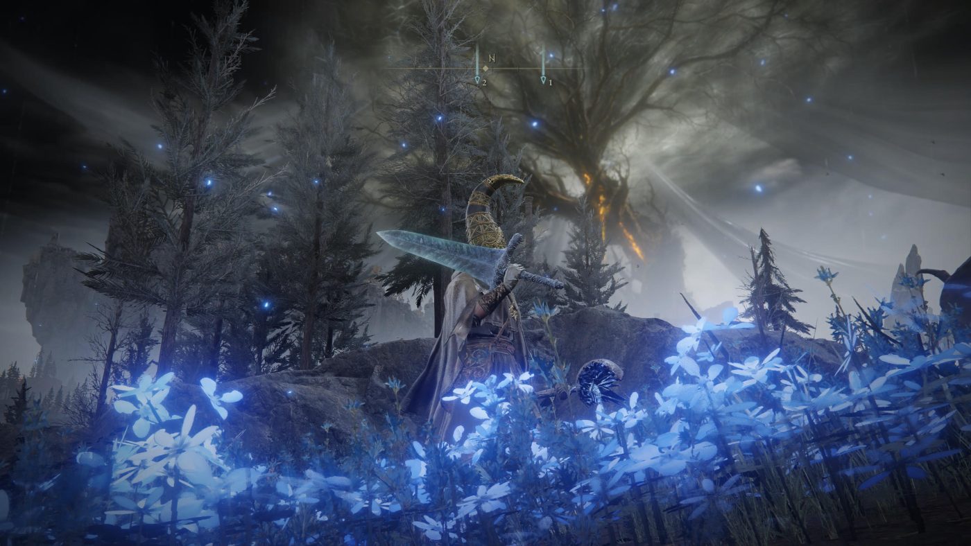 Elden Ring: Shadow of the Erdtree