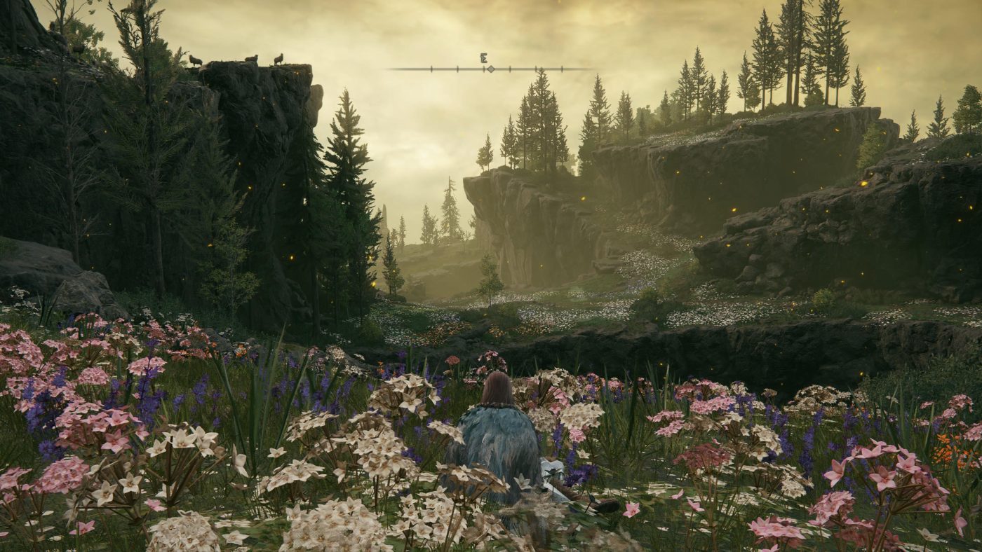 Elden Ring: Shadow of the Erdtree